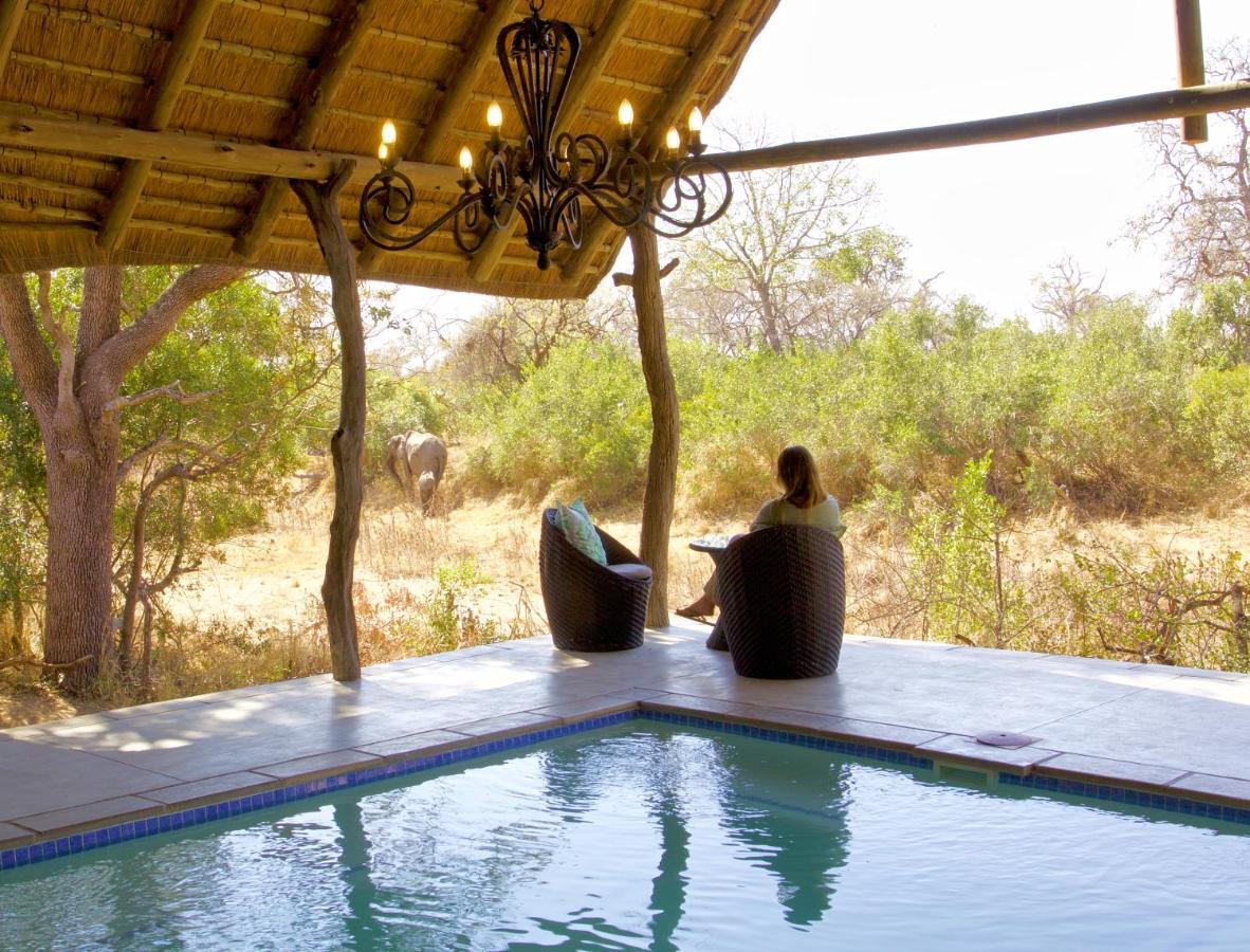 Kambaku River Sands Timbavati viltreservat Exteriör bild