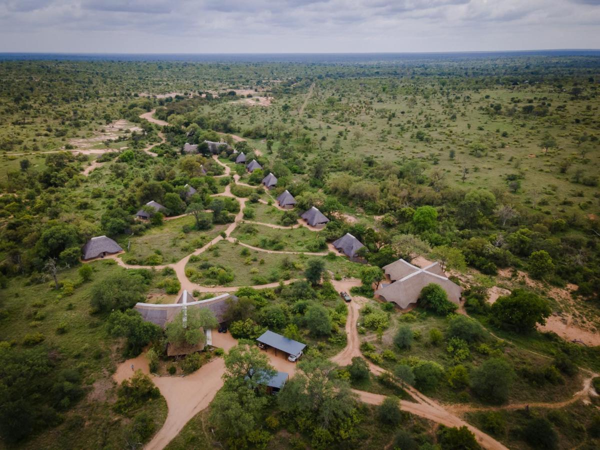 Kambaku River Sands Timbavati viltreservat Exteriör bild
