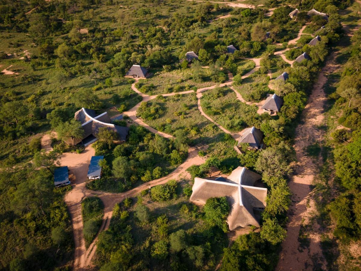 Kambaku River Sands Timbavati viltreservat Exteriör bild