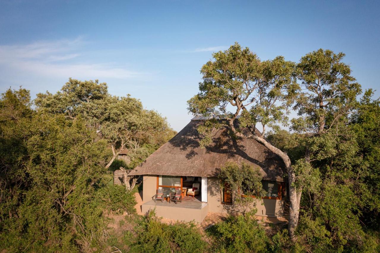 Kambaku River Sands Timbavati viltreservat Exteriör bild