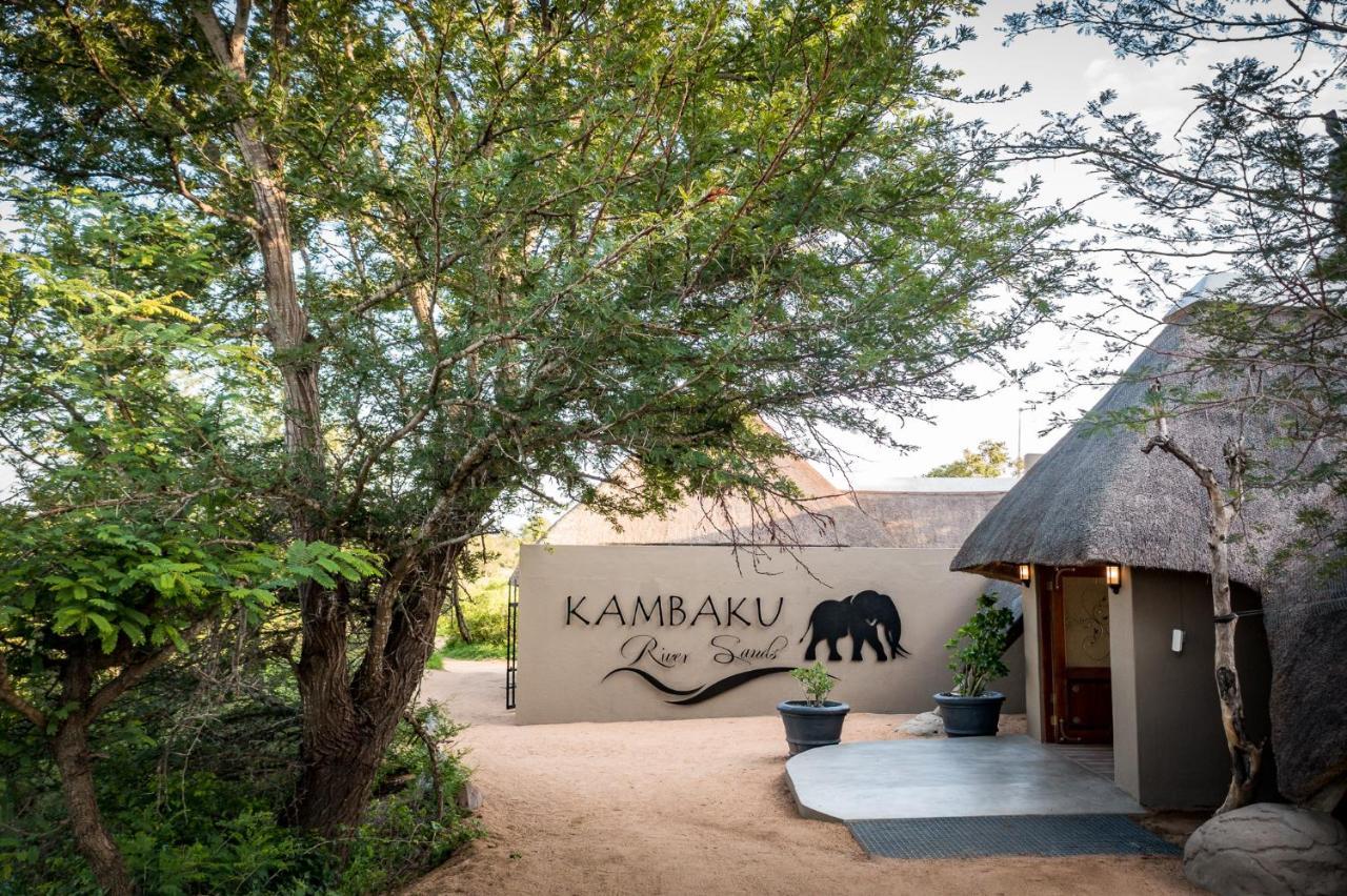 Kambaku River Sands Timbavati viltreservat Exteriör bild