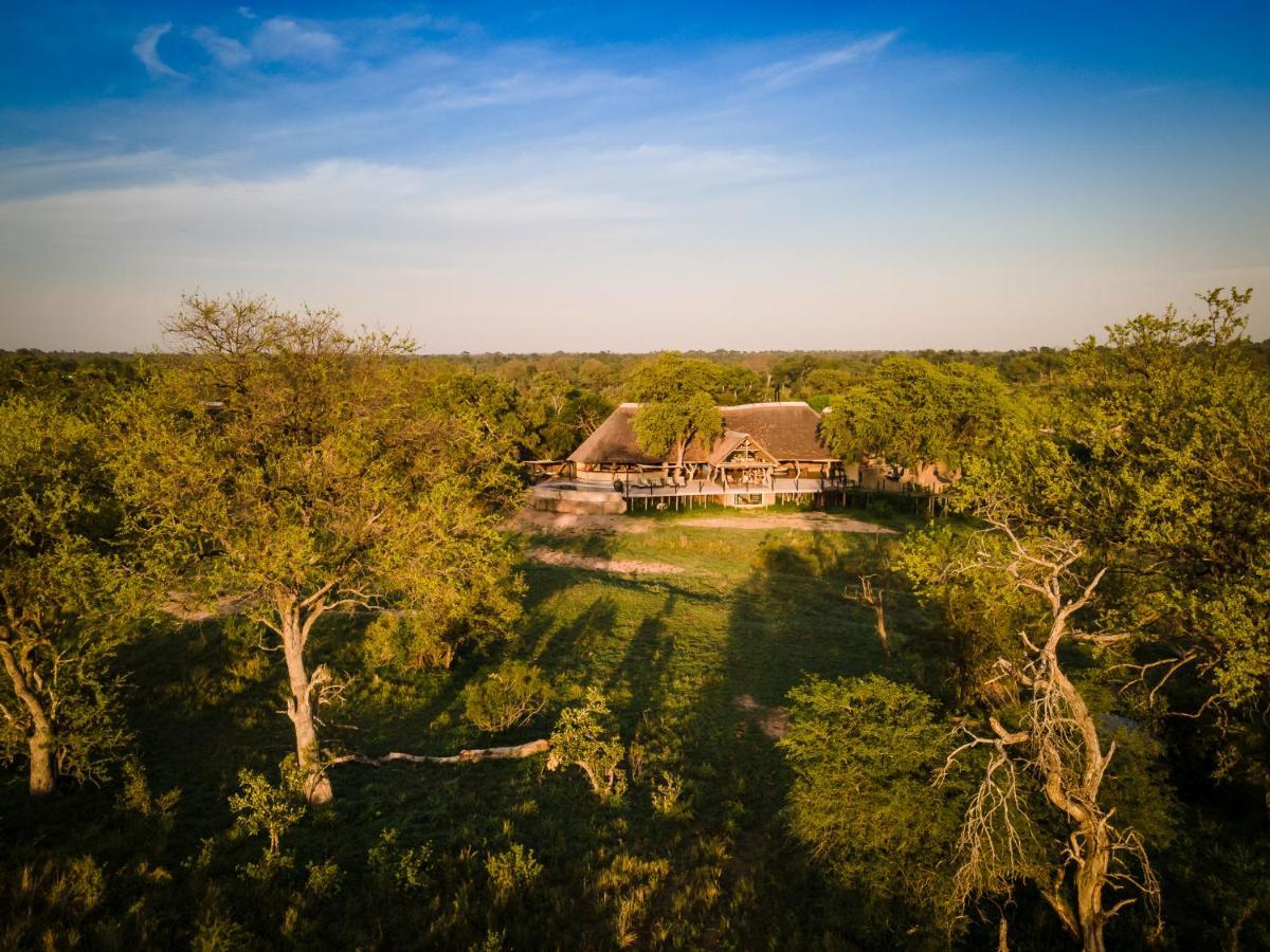 Kambaku River Sands Timbavati viltreservat Exteriör bild
